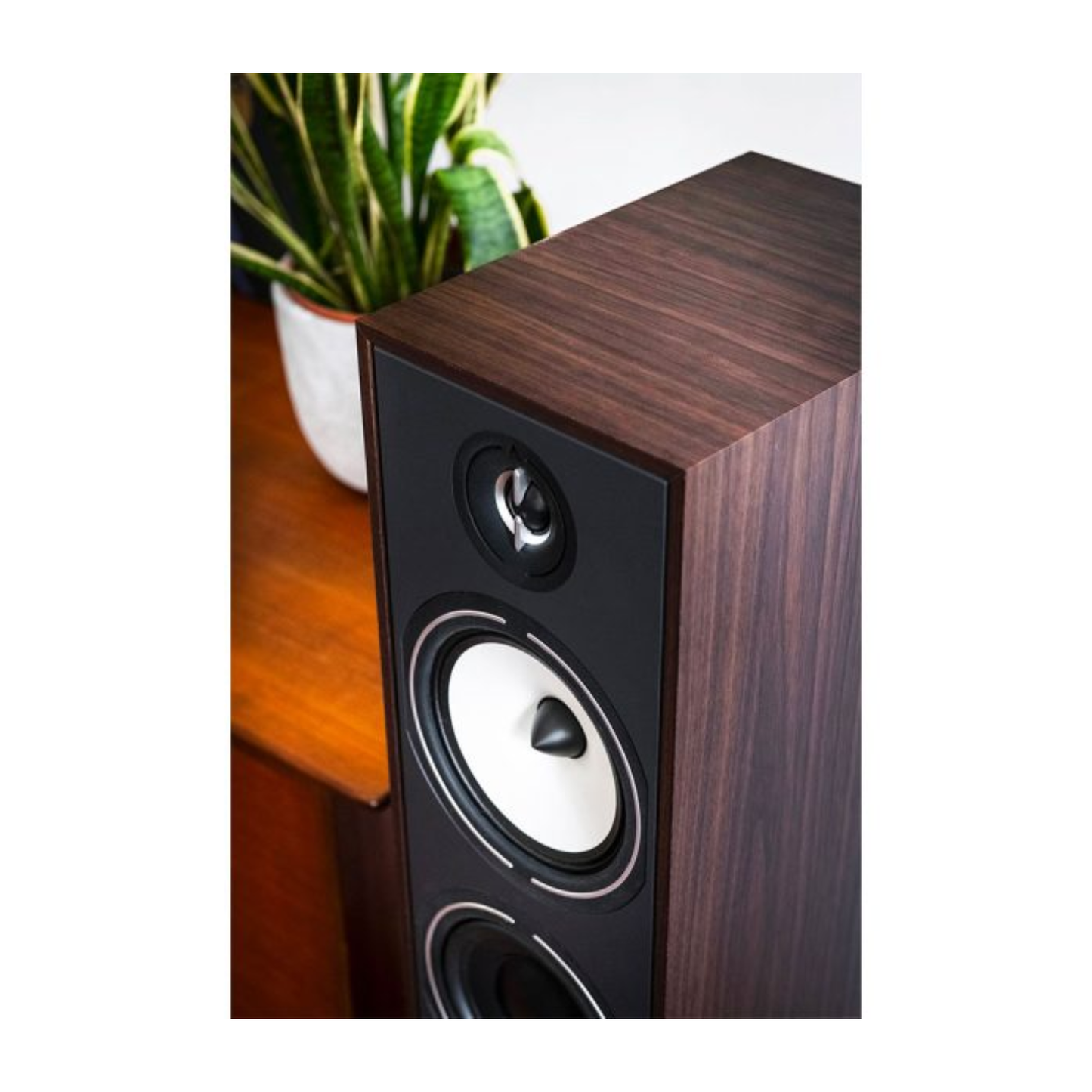 TRIANGLE Borea BR08 (Pair)