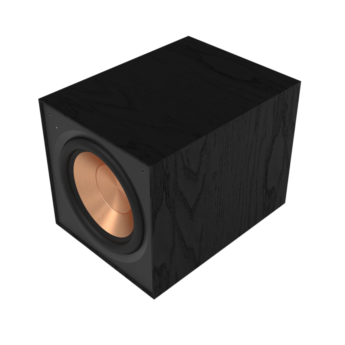 Klipsch R-101SW Subwoofer