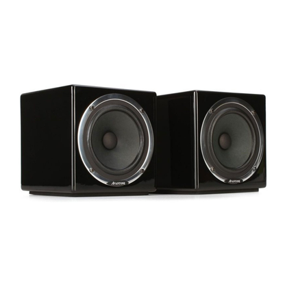 Avantone MixCubes Active Black (Pair)