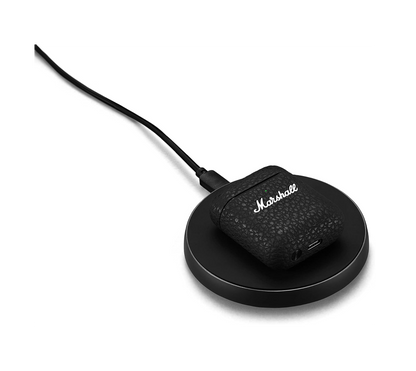 Marshall Minor III image 3