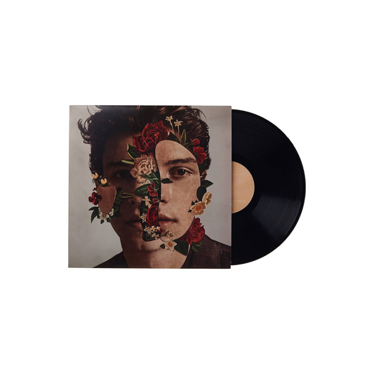 Shawn Mendes image 0